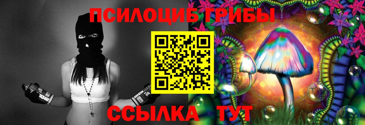 Галлюциногенные грибы Magic Shrooms  Вход с VPN  закладка  Кувандык  Галлюциногенные грибы Psilocybine cubensis 